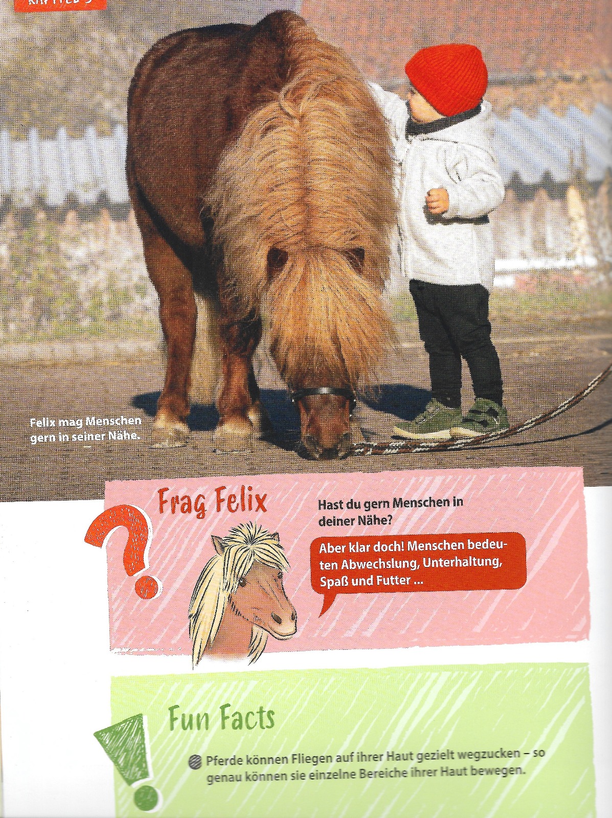 Felix Buch